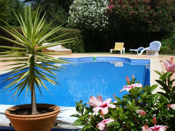 Cost of Pool Terrace Renovation in Arlington Heights